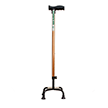 Walking Stick